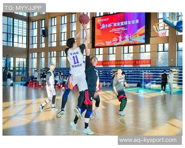 篮球教会我们的合作精神与高效问题解决能力的深刻启示